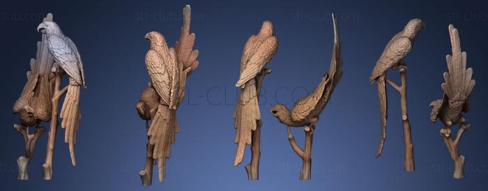 3D model Parrots Statue (STL)